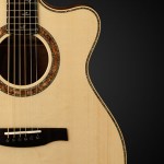 NAMM 2014: Private Stock Alex Lifeson Thinline Signature Acoustic